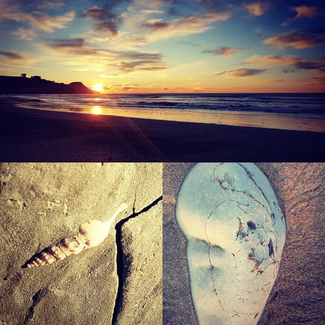 Early morning fossil hunt at my favourite beach. Found some amazing crab and gastropod . @dickie_dickson found a concretions containing something that looks suspiciously like ribs 😲

               