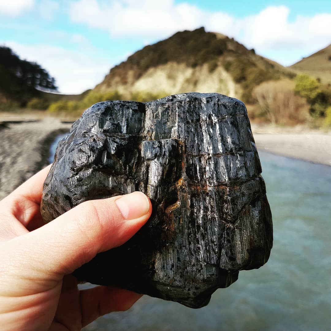 Had time for a quick 1 hour petrified wood hunt driving back from  today. Managed to bag 4 pieces including one beautiful round. 
Really good growth rings and colour on them.

Swipe for more pics.

             