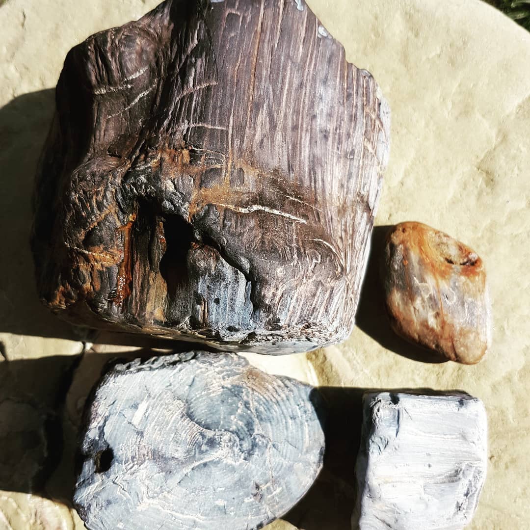 Had time for a quick 1 hour petrified wood hunt driving back from  today. Managed to bag 4 pieces including one beautiful round. 
Really good growth rings and colour on them.

Swipe for more pics.

             