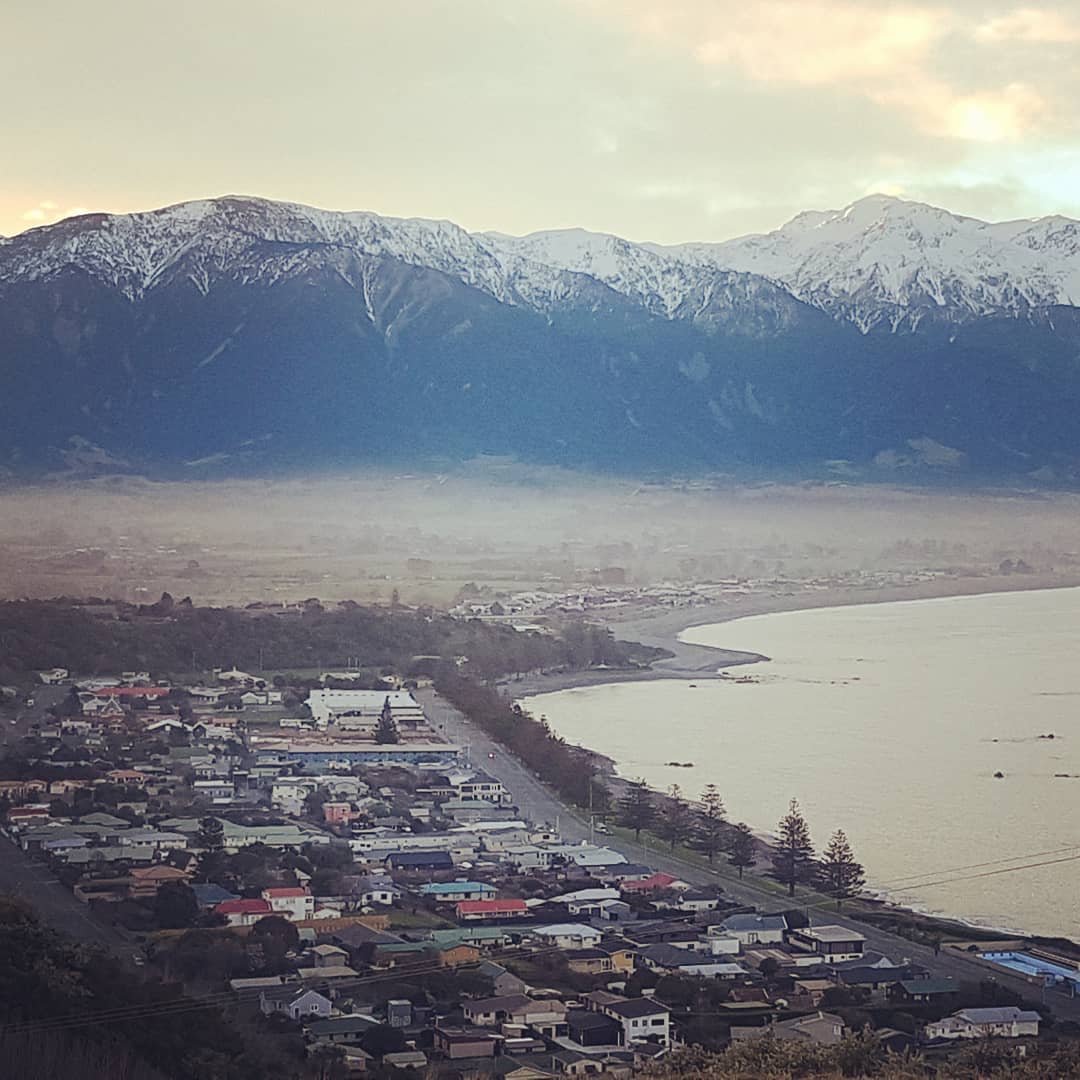 New fossil hunting grounds for the weekend - Kaikoura. Hoping to find some Cretaceous era fossils tomorrow and maybe some pet wood. At the very least I'll see some beautiful scenery and seals 😁🐳🐋             beautiful