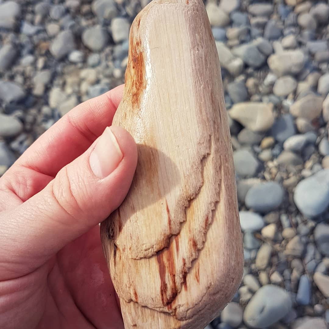 Had a quick hunt for petrified wood this afternoon and managed to find a medium sized piece with a bit of character to it. It has a knot in it which is new for me!

There has been some heavy rain this side so a whole bunch of new material has been washed down. Swipe for some close ups.

             