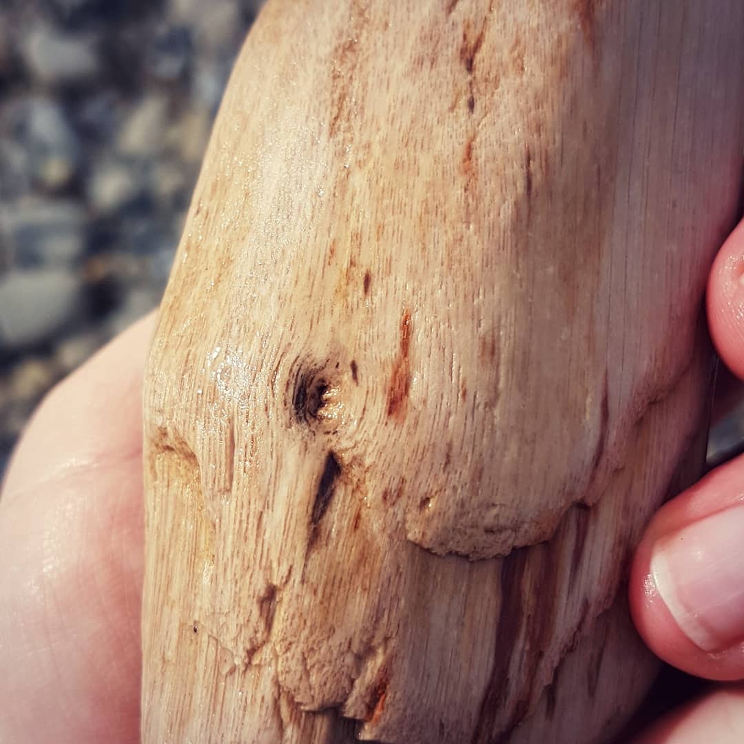 Had a quick hunt for petrified wood this afternoon and managed to find a medium sized piece with a bit of character to it. It has a knot in it which is new for me!

There has been some heavy rain this side so a whole bunch of new material has been washed down. Swipe for some close ups.

             