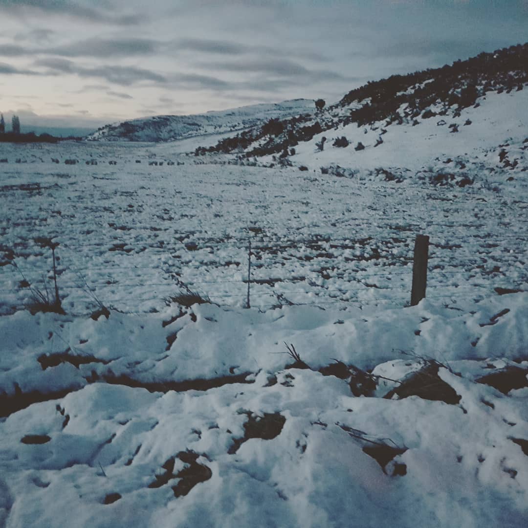 Snowy rockhounding trip at the Hinds River. Came across this pelvis, that looked suspiciously like a mask, just sitting in the snow, not creepy at all!

Swipe for more pictures from the hunt.

            