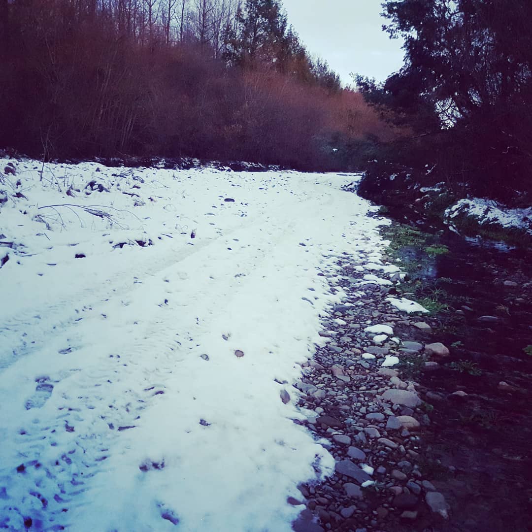 Snowy rockhounding trip at the Hinds River. Came across this pelvis, that looked suspiciously like a mask, just sitting in the snow, not creepy at all!

Swipe for more pictures from the hunt.

            