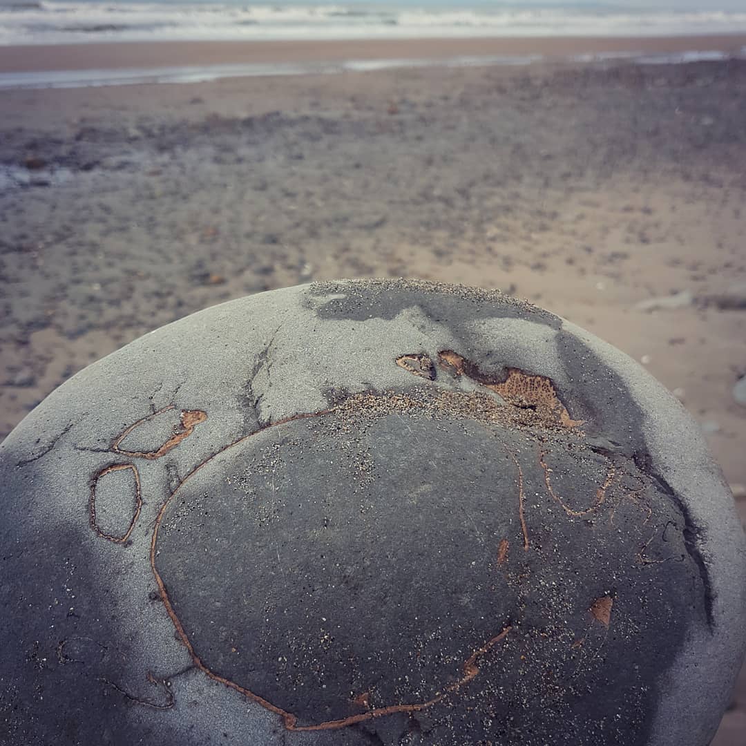 Fossil crab from this morning, looks like it had a rough time with the recent storms. I can't help picking each and every one up for a closer look 😁

                