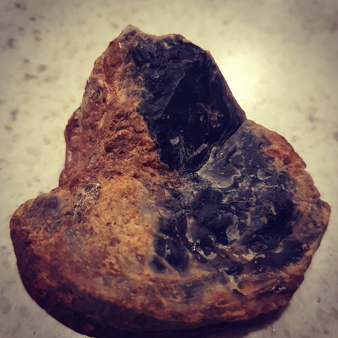 This is my first proper piece of fossilized wood I found. It's from the Cretaceous period and I was lucky enough to get a full round - a complete limb cross-section, that was stuck in a muddy embankment.

You can even still see the growth rings! Thanks to @chris_caine_88 for showing me the spot.

              