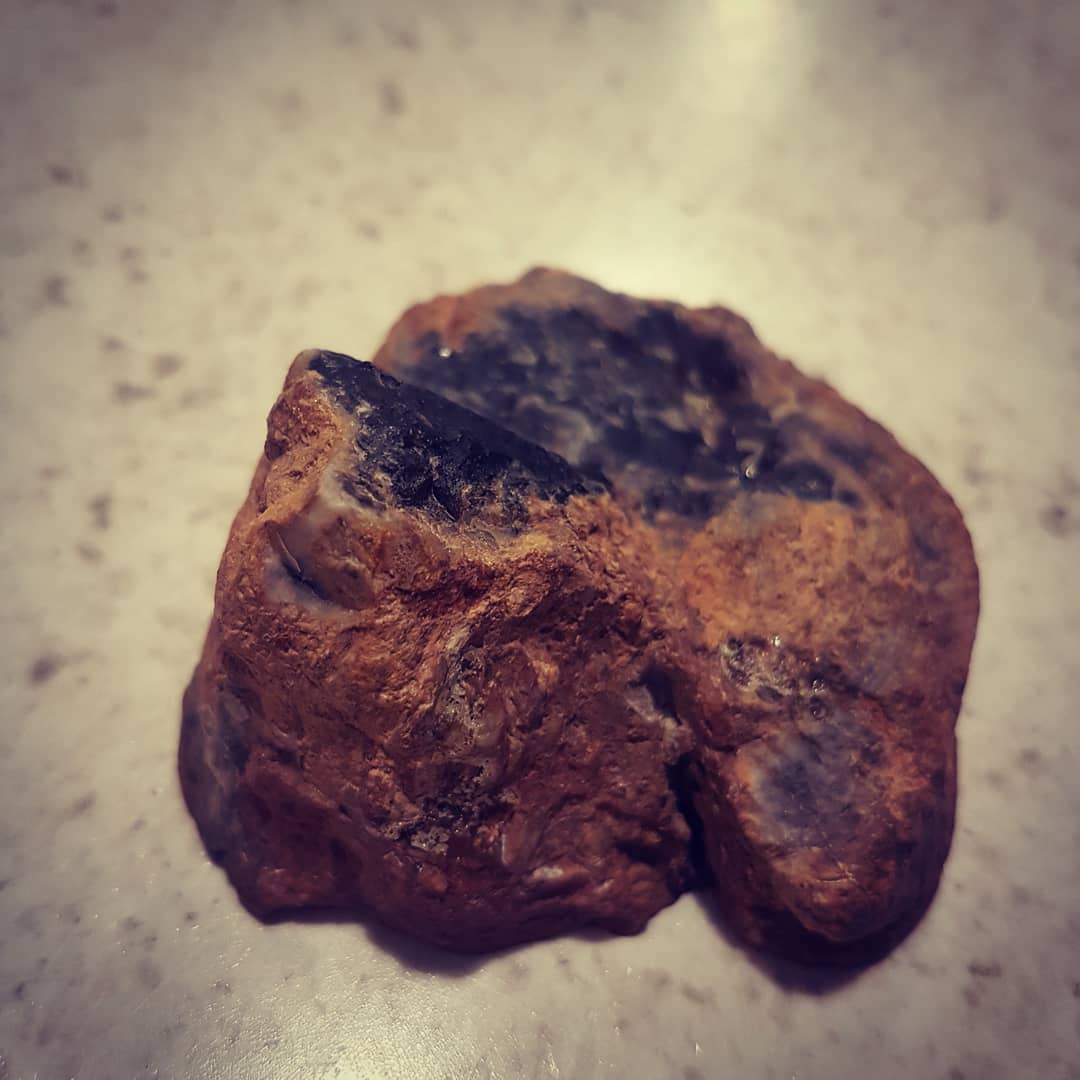 This is my first proper piece of fossilized wood I found. It's from the Cretaceous period and I was lucky enough to get a full round - a complete limb cross-section, that was stuck in a muddy embankment.

You can even still see the growth rings! Thanks to @chris_caine_88 for showing me the spot.

              