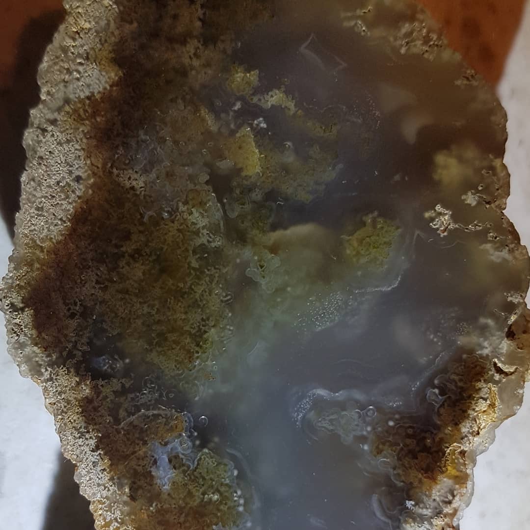 A very mossy agate I dug out of a small, freezing stream in Canterbury. It was my first large agate I had ever found and blew my mind when it was cut and polished!

I used a torch to backlight it in the one photo.

Thanks @chris_caine_88 for showing me the spot!

               