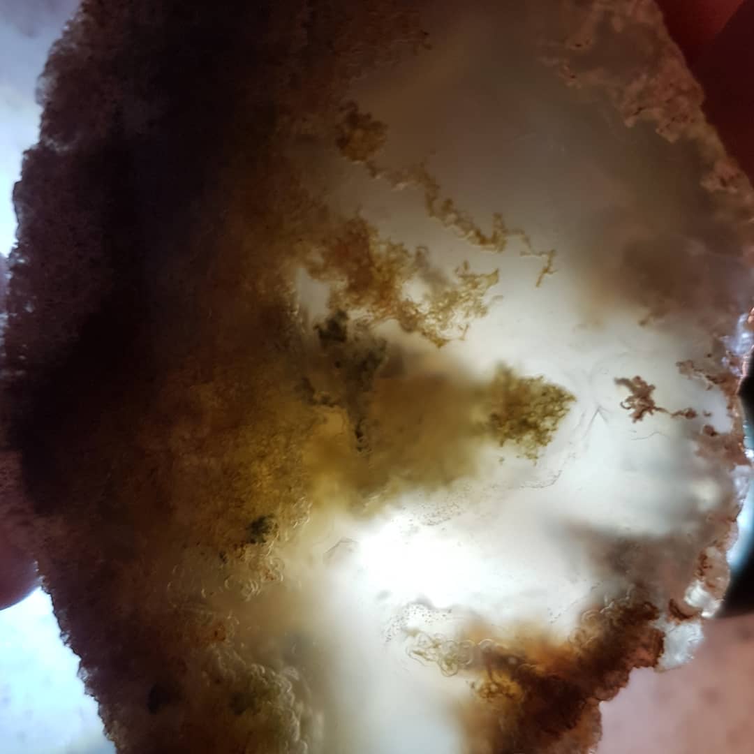 A very mossy agate I dug out of a small, freezing stream in Canterbury. It was my first large agate I had ever found and blew my mind when it was cut and polished!

I used a torch to backlight it in the one photo.

Thanks @chris_caine_88 for showing me the spot!

               