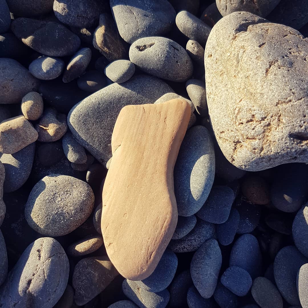 Small bit of petrified wood I found while on the beach with the family, it pays to always keep your eyes open. It measure about 7cm (3") - not very large but has a pleasing colour.

          