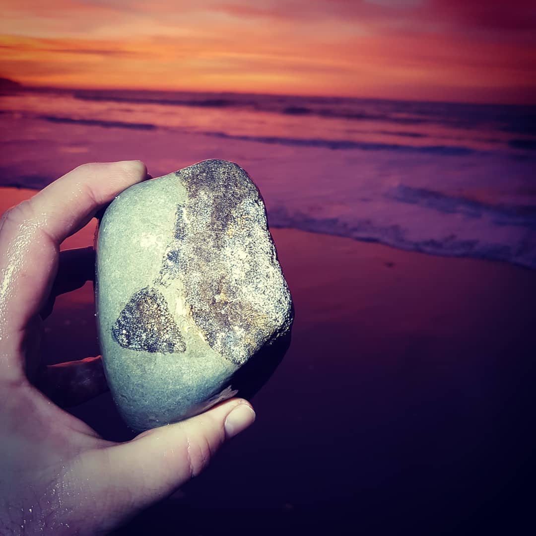 Early morning fossil hunt didn't disappoint!  Found a nice piece of what I suspect is a fossilised cetacean bone.

                