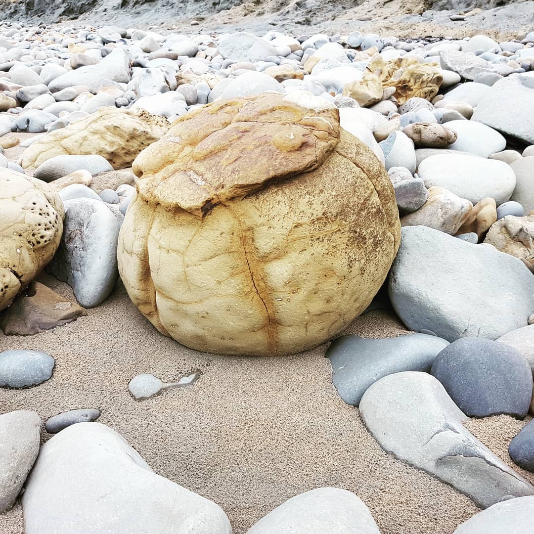 Was out fossil hunting and saw this massive concretion on the beach. There were some septarian ones nearby as well.            