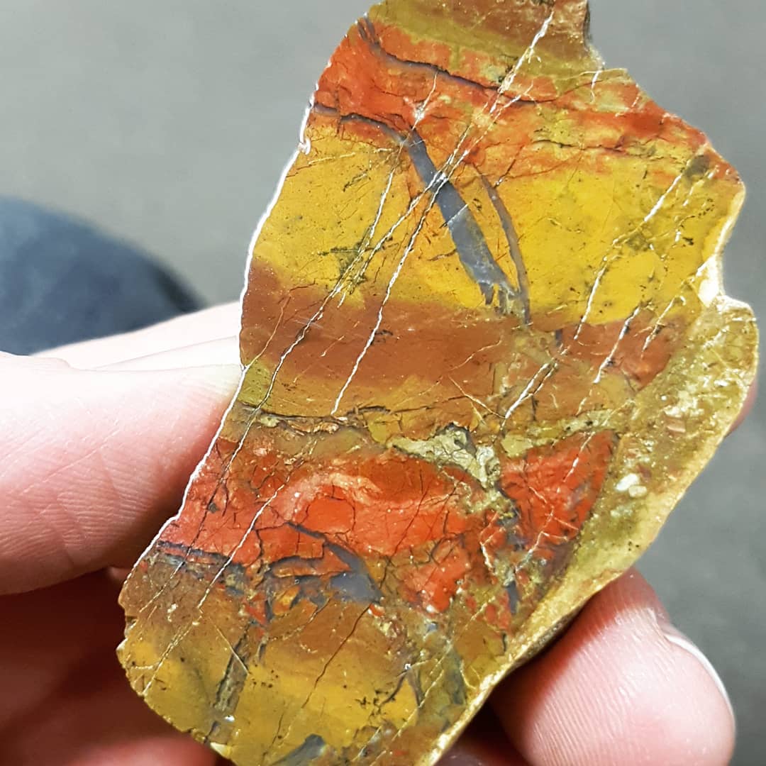 Received some of my North Canterbury jasper back after it's cut and polish. Such good colors!     