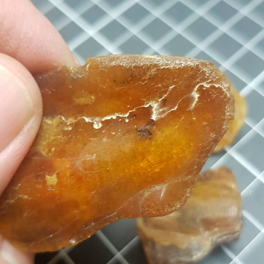 Amber fresh from the Baltic sea! Collected by @amberscapeofficial himself and arrived at my door this evening 😁 check out his Instagram profile to see all the cool insects he finds in them. 

Jarek also does some really cool videos where he scoops the pieces out of the ocean with a big net and then polishes them 🤩 check out his YouTube for those, link in his bio.

Thanks so much Jarek, these are beautiful pieces!

            