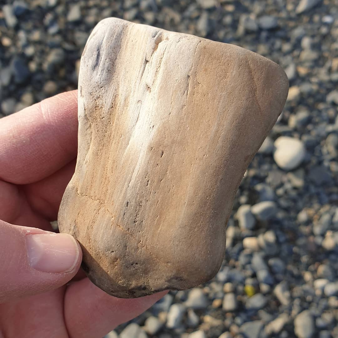 I stumbled across this beautiful piece of petrified wood on the weekend, my first piece in ages!

It has some nice dark, agatized sections as well 😀

Im not sure of the age or species as I
was exploring a new area.

         