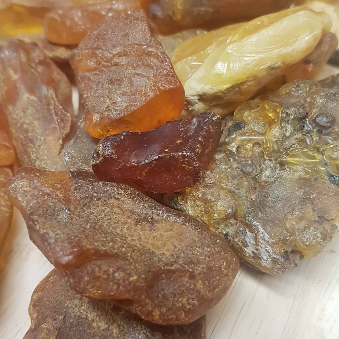 Amber fresh from the Baltic sea! Collected by @amberscapeofficial himself and arrived at my door this evening 😁 check out his Instagram profile to see all the cool insects he finds in them. 

Jarek also does some really cool videos where he scoops the pieces out of the ocean with a big net and then polishes them 🤩 check out his YouTube for those, link in his bio.

Thanks so much Jarek, these are beautiful pieces!

            