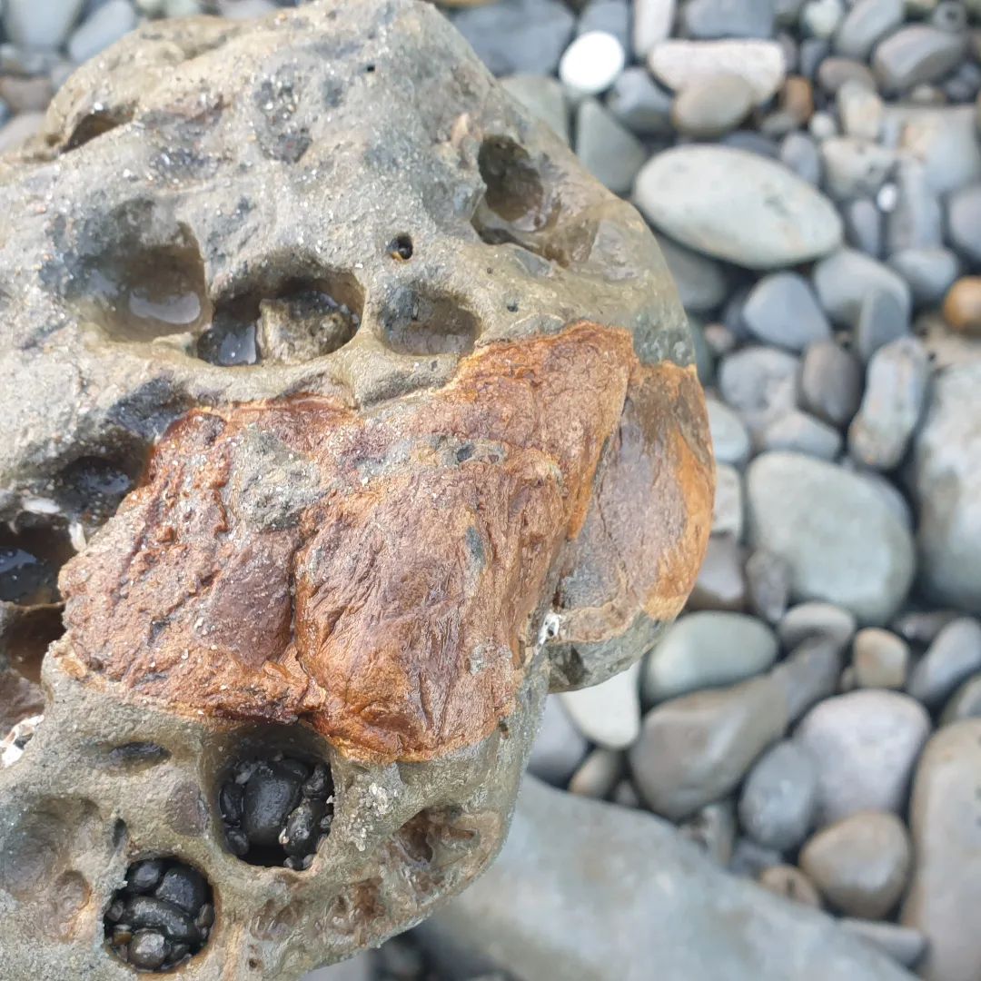 I found this cool fragment of bone today. It's a bit worn but it reminded me of the texture that the ear bone I prepped recently had. That almost resin-like look. I brought it home for a closer look and maybe prep.

       