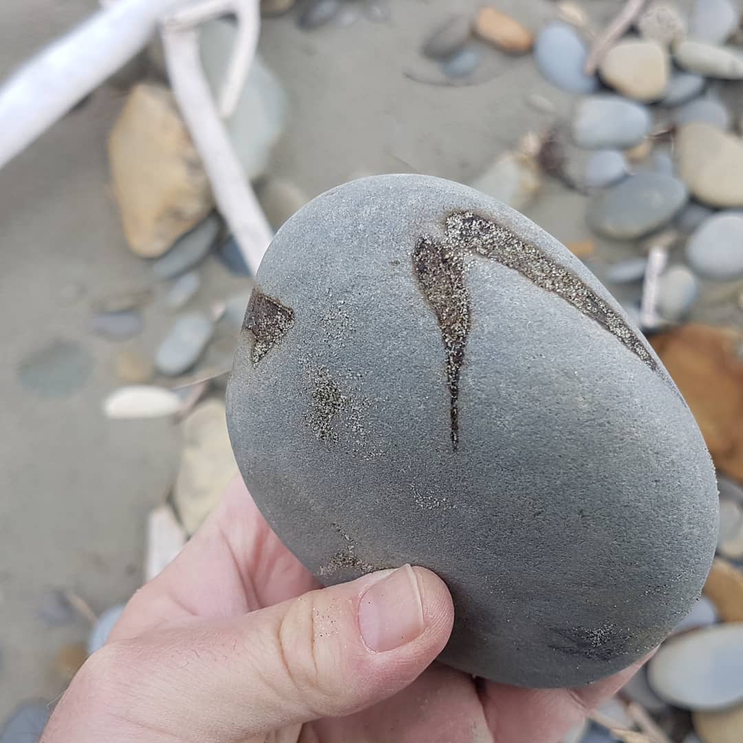 I LOVE finding bone clusters! It's like a puzzle you have to try and figure out 😁 this one looks like it needs a bit of prep work to reveal its secrets. Maybe even bits of penguin in there 🐧

        