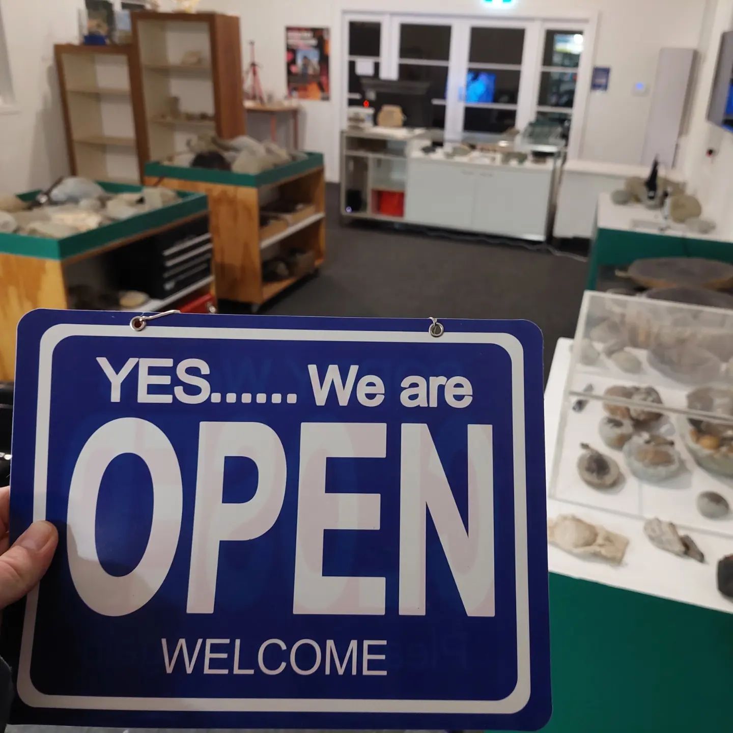 This Sat 25 May and Sun 26 May. Come and check out some of my fossil collection, there's a kids area for digging as well. I will have the turtle skull, massive crab, penguin, plesiosaur bones and many other fossils on display.
It's in Waikuku, about 30 min north of Christchurch at the Old School Collective. There's a great cafe as well if you fancy a coffee.

    