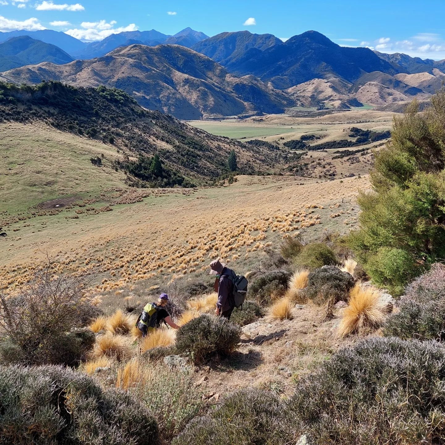 I just got back from an amazing 6 day field trip into the hills near Culverden for Geo240. We mapped the area, made cross sections, found faults, found mice, and hit many, many rocks with our shiny new rockhammers. I learned so much in such a short time and met some really great people.        